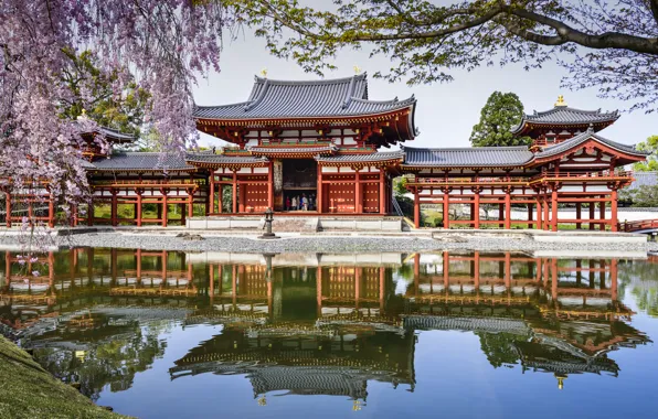Picture pond, reflection, spring, Japan, Sakura, Japan, pond, Byodo-In Temple