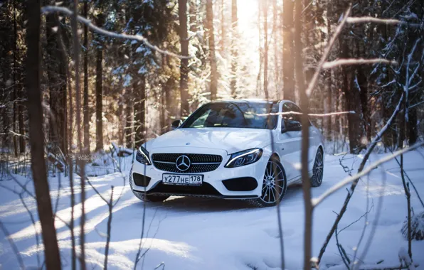 Picture winter, car, machine, auto, city, fog, race, tale