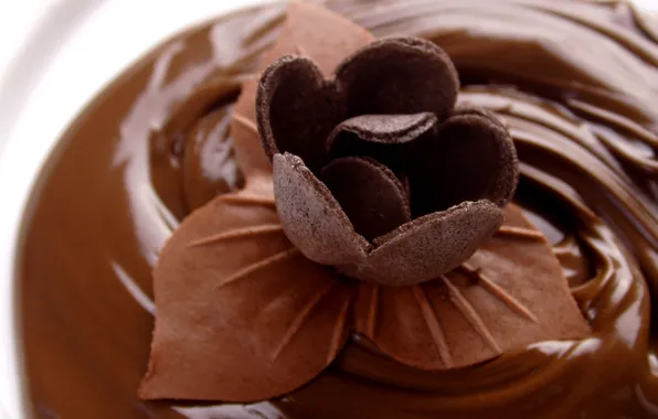 Picture food, sweet, brown background, chocolate. chocolate flower