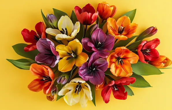 Leaves, flowers, bouquet, spring, tulips, colorful, yellow background, different