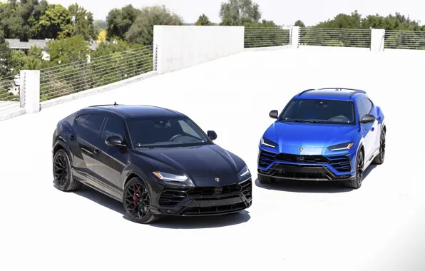 Picture Lamborghini, SUV, Urus, VAG, Duet, Black & Blue