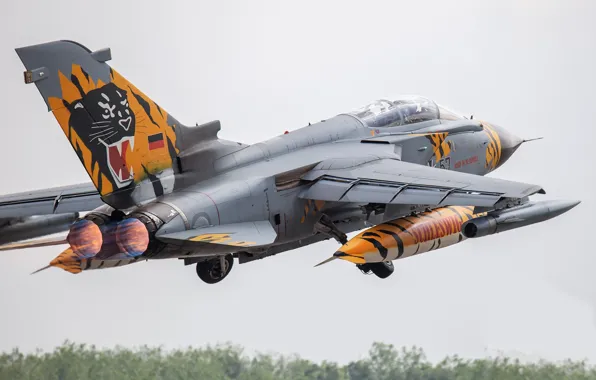 The fast and the furious, The rise, Fighter-bomber, Tornado, Panavia Tornado, Chassis, The German air …
