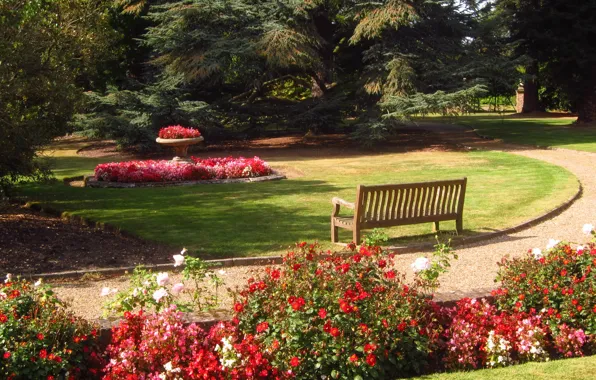Picture bench, nature, photo, England, garden, Barnet, Beale Arboretum