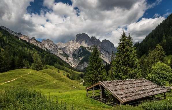 Roof, greens, forest, summer, the sky, clouds, trees, mountains