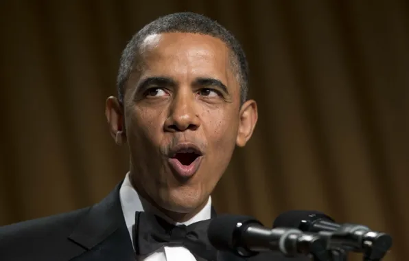 Picture face, background, USA, Barack Obama, Barack Obama, the President.USA