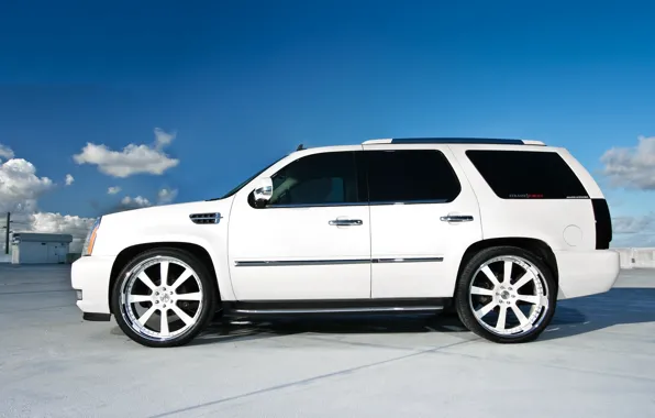 Roof, white, profile, Parking, white, wheels, drives, Cadillac