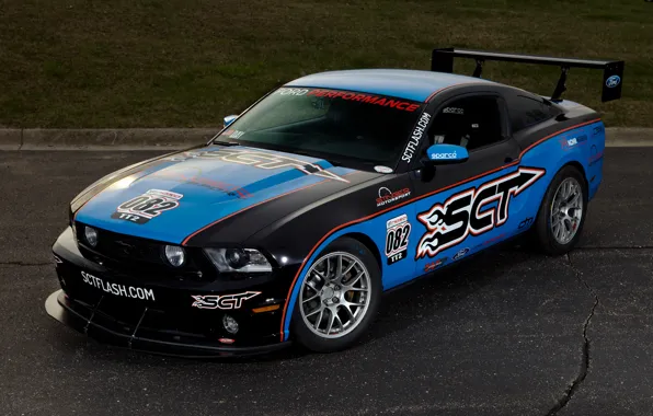 Picture Mustang, Ford, Motorsport, Stinger