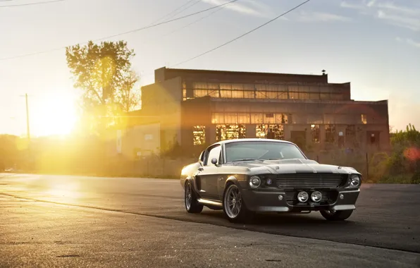 The sun, the building, Ford, Shelby, silver, Eleanor, GT 500, muscle car