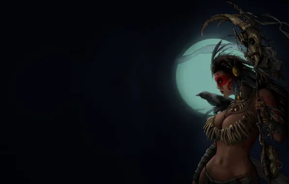 Girl, Raven, The moon, Girl, Moon, Sake, Night, Colored