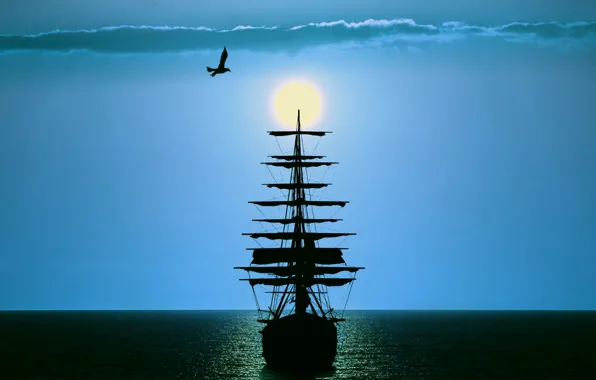 Sea, clouds, sailboat, Seagull, the evening