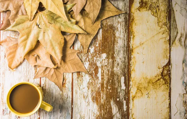 Picture autumn, leaves, background, tree, coffee, Cup, wood, background