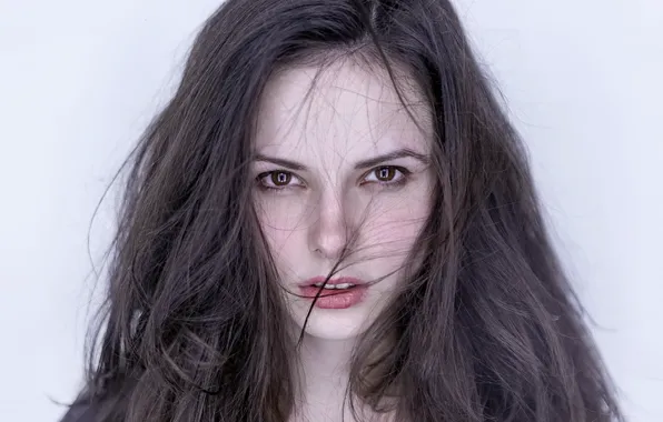 Portrait, the beauty, Diana Shilovsky, Stepan Gladkov