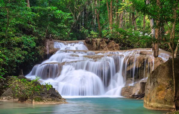 Picture greens, forest, trees, stream, stones, waterfall, Thailand, Kanchanaburi