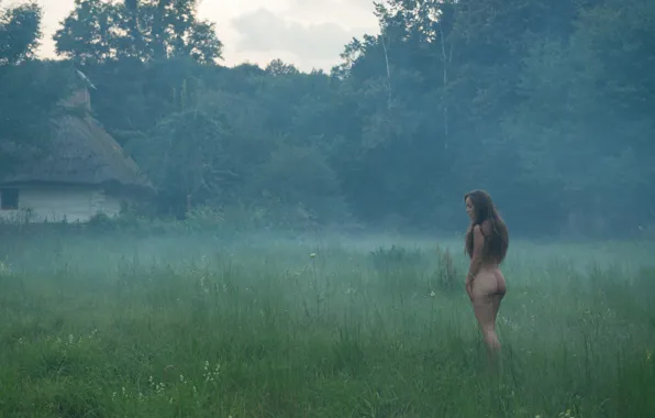 Field, forest, nature, fog, brown hair, Nude, forest, field