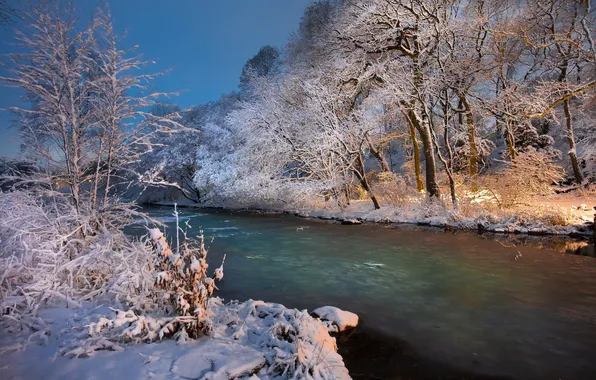Snow, trees, river