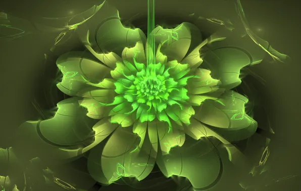 Flower, abstraction, green