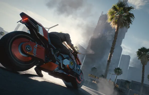 Palm trees, motorcycle, Cyberpunk 2077, Cyberpunk