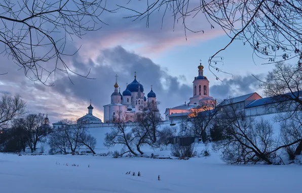 Picture winter, snow, trees, landscape, branches, nature, temple, the bushes