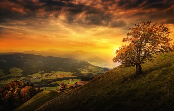 Picture the sky, clouds, sunset, mountains, tree, field, treatment, Switzerland