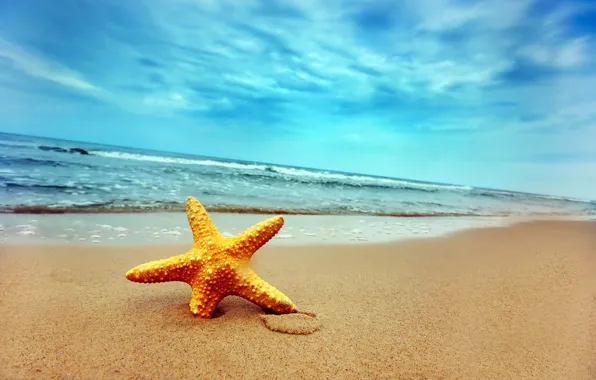 Sand, wave, shore, star, 155