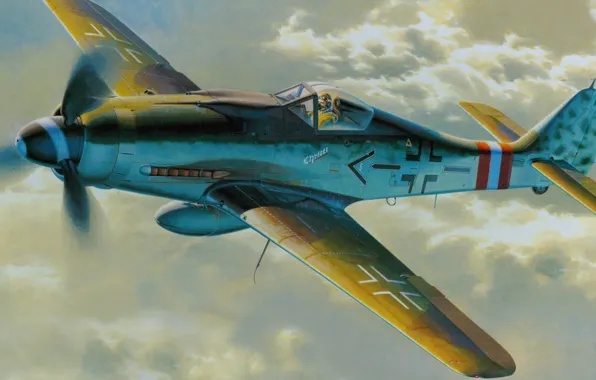 Picture aircraft, war, airplane, aviation, dogfight, fw 190. german fighter