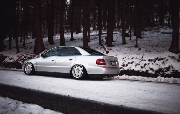 Forest, snow, Audi, Audi, silver, stance, Doroga