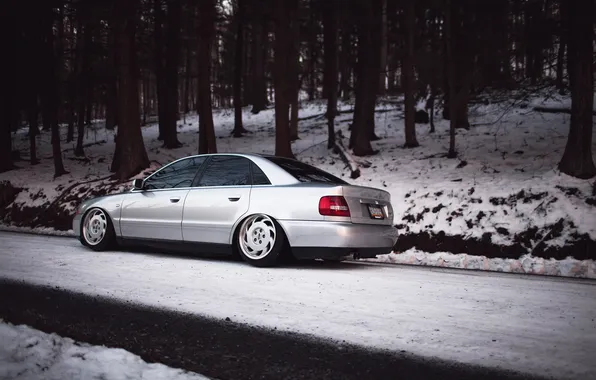 Picture forest, snow, Audi, Audi, silver, stance, Doroga
