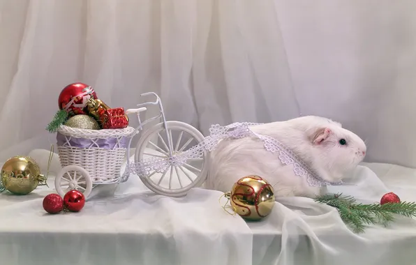 Toys, New year, wagon, white, Guinea pig