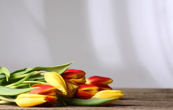 Picture table, stems, tulips