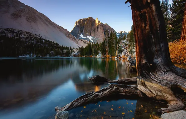 Picture autumn, trees, mountains, rock, lake, CA, California, Sierra Nevada