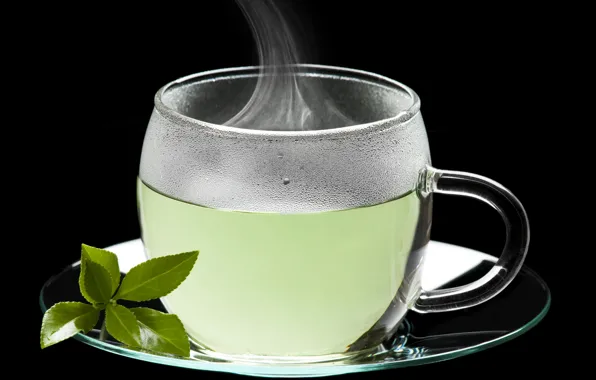 Tea, Cup, saucer, leaves
