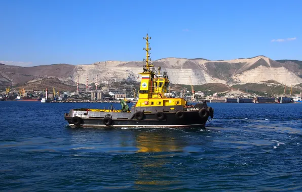 Tug, sea, Novorossiysk, "Stormy", worker