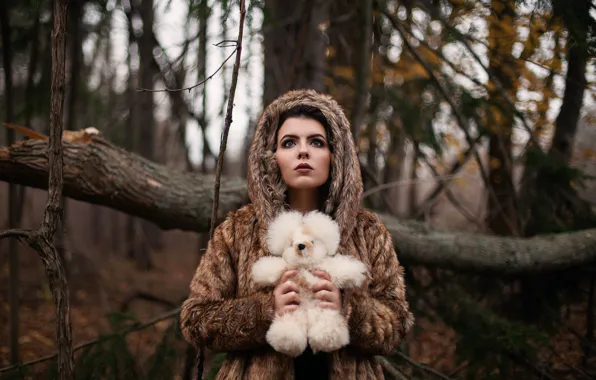 Picture forest, girl, toy, bear