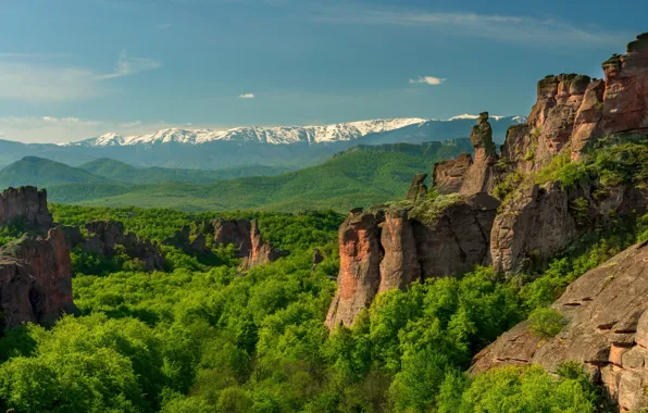 Picture forest, summer, the sky, snow, mountains, stones, rocks, vegetation