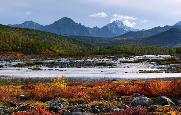 Picture Magadan oblast, Kolyma, The Dancing Grayling Lake