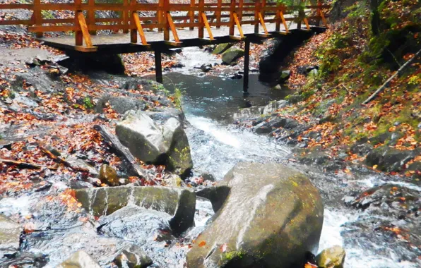 Stones, The bridge, autumn leaves, mountain stream