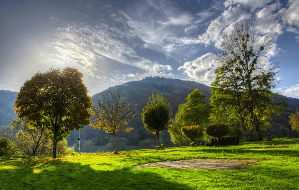 Greens, the sky, grass, the sun, clouds, trees, mountains, glade