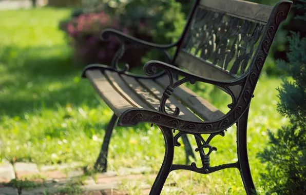 Greens, summer, leaves, the sun, rays, light, trees, bench