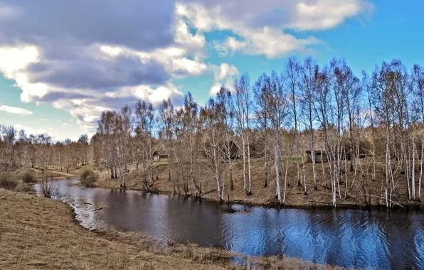 Trees, landscape, river