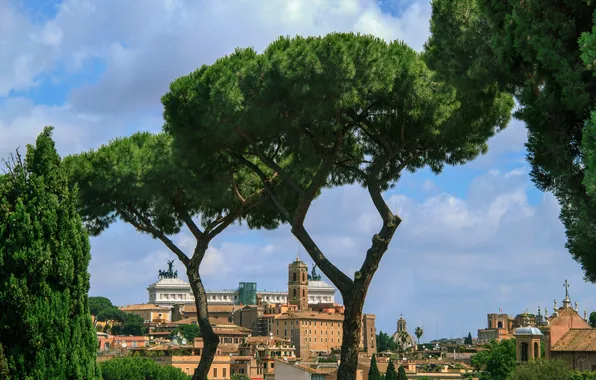 Picture the sky, trees, landscape, Rome, Italy, The Vittoriano