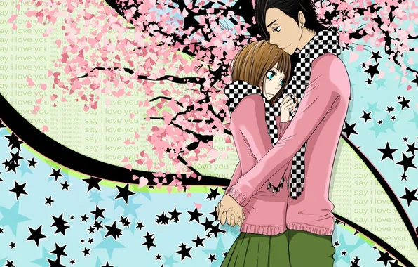 Picture girl, flowers, abstraction, Sakura, hugs, guy, stars, tachibana mei