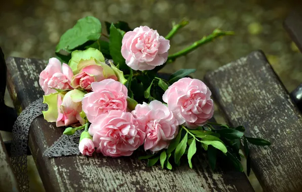 Picture background, roses, bouquet, clove