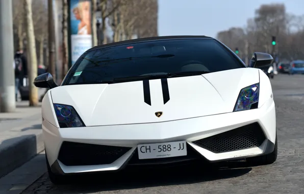 Lamborghini, Gallardo, supercar, White, the front, LP570-4, Performante