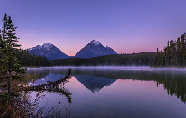 Picture forest, mountains, lake, Canada, Canada, Jasper National Park, Mount Fryatt, Leach Lake