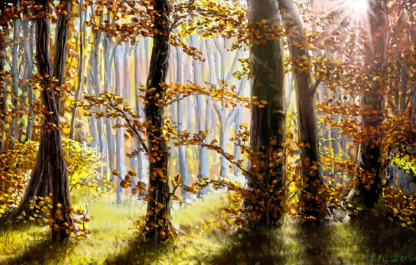 Autumn, forest, leaves, the sun, nature, tree, ray