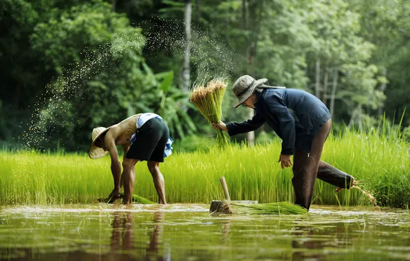Nature, Thailand, Man, People