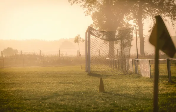 Picture field, fog, morning, gate