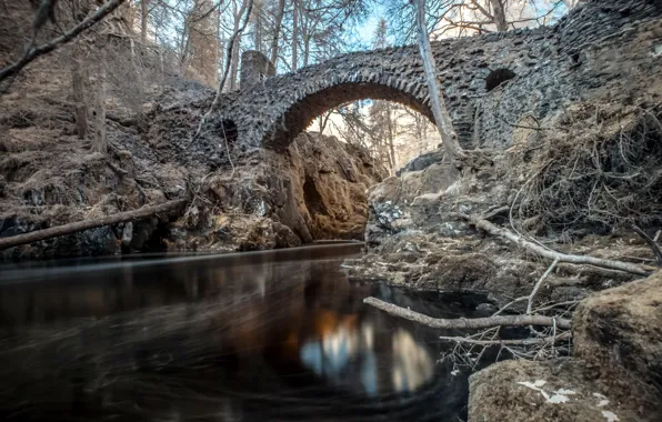 Picture landscape, bridge, river