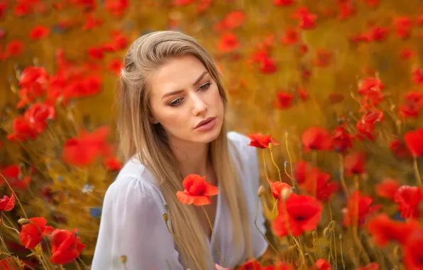 Picture field, girl, flowers, face, mood, Maki, blonde, Anna Rawka