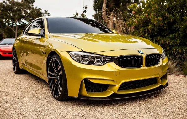 Picture coupe, gold, sports car, BMW M4
